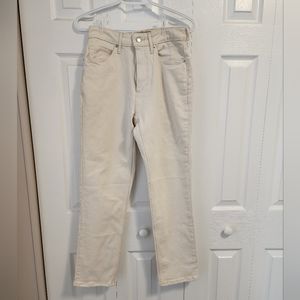 Everlane Curvy Cheeky Jean NWT 26R